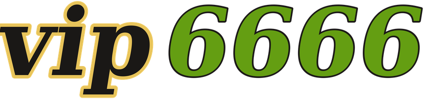 vip6666 logo